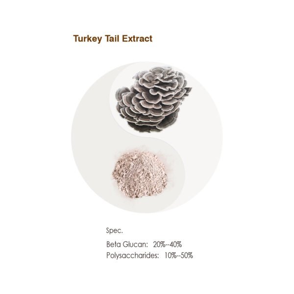Organic Turkey Tail Extract